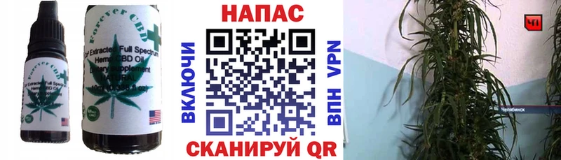 Cannafood конопля  мега онион  Железноводск 