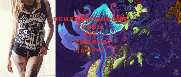 PSILOCYBIN Алексеевка