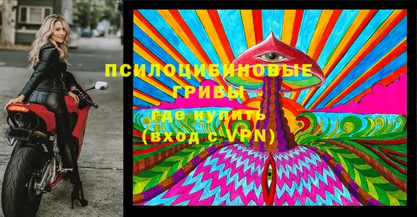хмурый Абинск