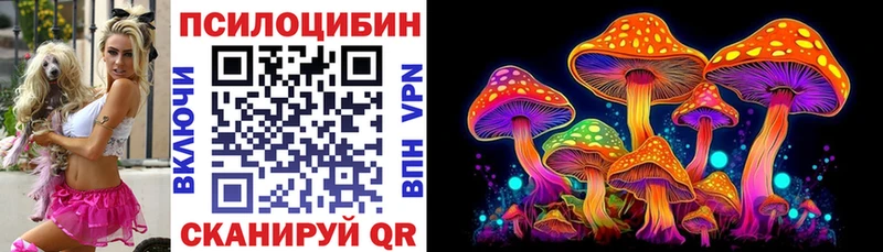 Псилоцибиновые грибы Psilocybine cubensis  купить   блэк спрут рабочий сайт  Железноводск 