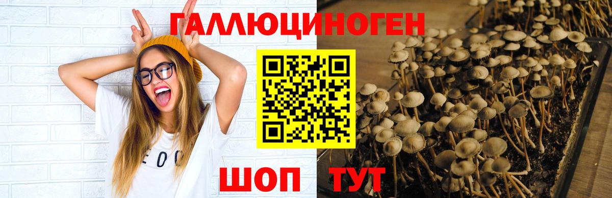 Псилоцибиновые грибы прущие грибы Железноводск
